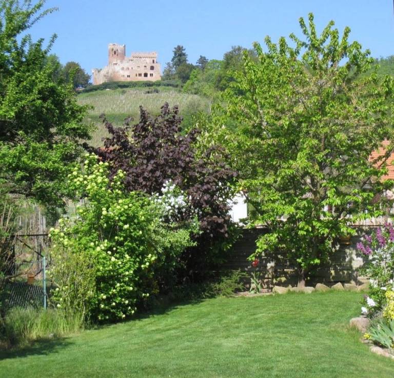 3ad_JARDIN AVEC VUE SUR CHATEAU RELAIS DES VIGNES.jpg